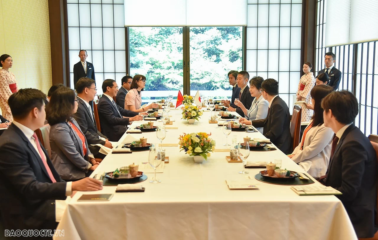 FM Bui Thanh Son held talks, meeting Japanese officials in Tokyo FM Bui Thanh Son held talks, meeting Japanese officials in Tokyo