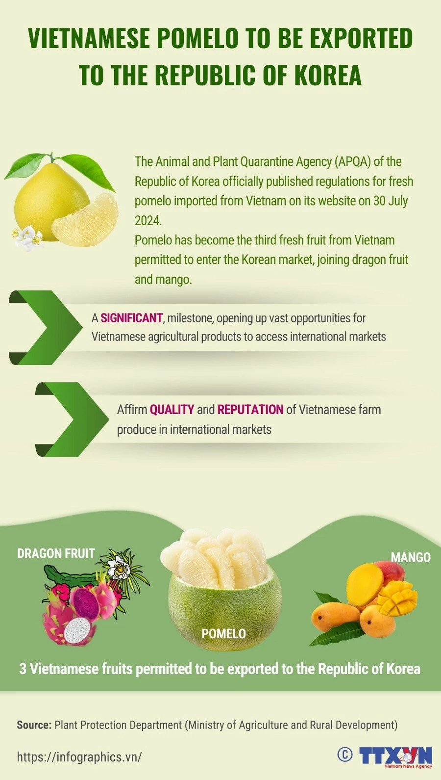 Vietnamese fresh pomelo officially allowed for import into RoK Vietnamese fresh pomelo officially allowed for import into RoK