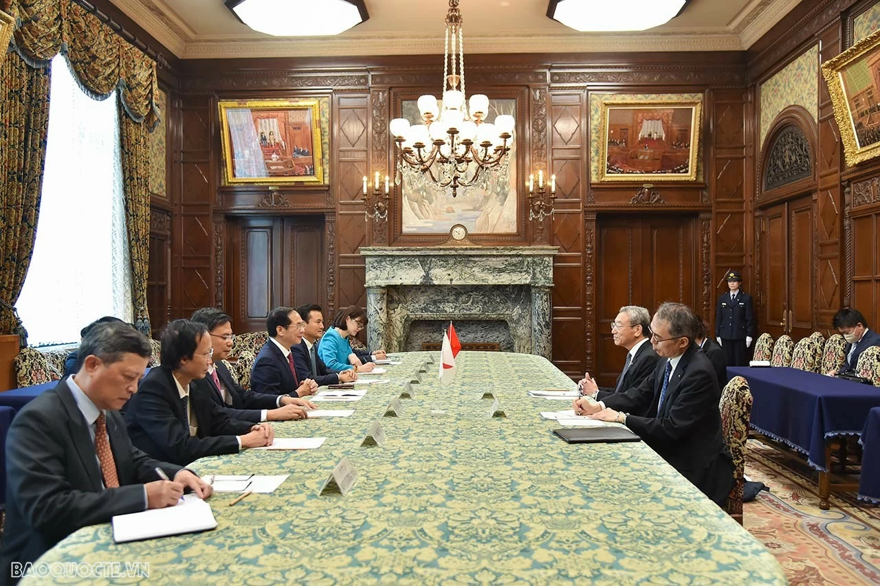 FM Bui Thanh Son meets with Vice President of Japanese House of Councillors, JICA FM Bui Thanh Son meets with Vice President of Japanese House of Councillors, JICA