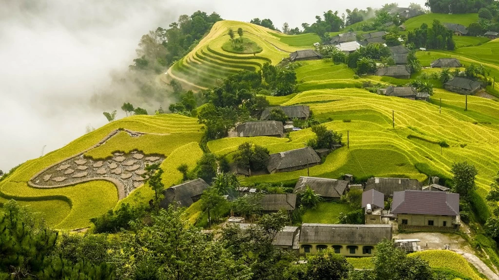 Wondering the splendid wilderness of Ha Giang Wondering the splendid wilderness of Ha Giang