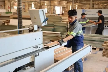 Positive signs for Vietnam's wood exports amidst challenges Positive signs for Vietnam's wood exports amidst challenges