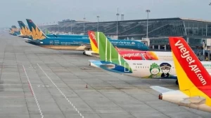 Growth in int’l passengers helps promote airlines' growth