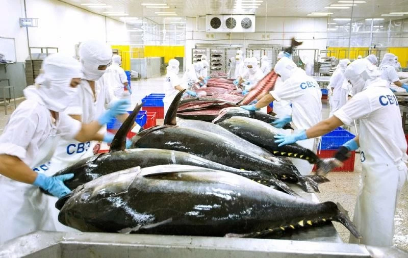 Completion of FTA negotiations with EFTA: A major step in Vietnam's international economic integration