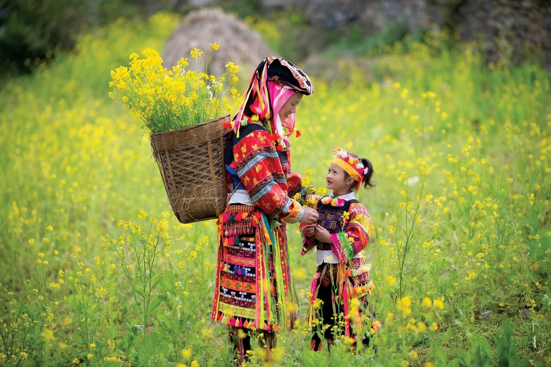 Hoa cải vàng rực ở làng Lô Lô Chải. (Ảnh: L.A) Hoa cải vàng rực ở làng Lô Lô Chải. (Ảnh: L.A)