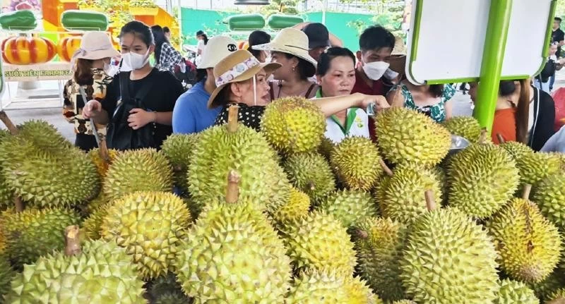 Durian export value set to reach 3.5 billion USD this year Durian export value set to reach 3.5 billion USD this year