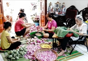 Hanoi lotus-scented tea making craft listed among national intangible cultural heritage Hanoi lotus-scented tea making craft listed among national intangible cultural heritage