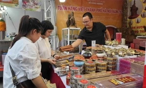 Hanoi fair promotes made-in-Vietnam goods Hanoi fair promotes made-in-Vietnam goods
