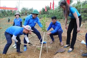 Project to help with climate change adaptation, development in Dien Bien Project to help with climate change adaptation, development in Dien Bien