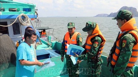 Kien Giang follows EC recommendations to combat IUU fishing