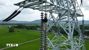 PM urges faster progress to inaugurate Circuit-3 500kV lines by Sept. 2 PM urges faster progress to inaugurate Circuit-3 500kV lines by Sept. 2