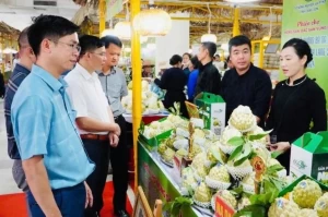 Regional farm produce introduced at Hanoi trade fair Regional farm produce introduced at Hanoi trade fair