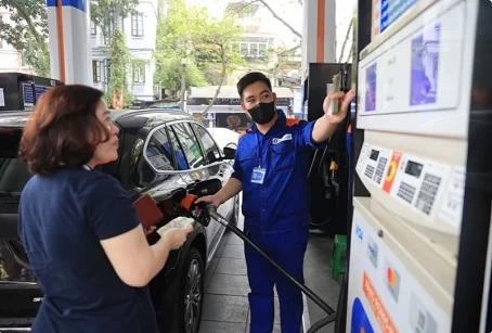 Petrol prices revised down on August 22 Petrol prices revised down on August 22