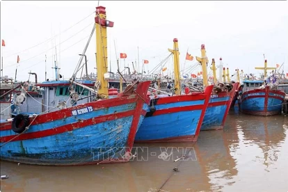 Nam Dinh works to ensure VMS connections in 100% of local fishing boats Nam Dinh works to ensure VMS connections in 100% of local fishing boats