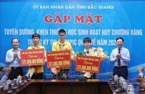 Bac Giang awards outstanding students at international Olympiad Bac Giang awards outstanding students at international Olympiad