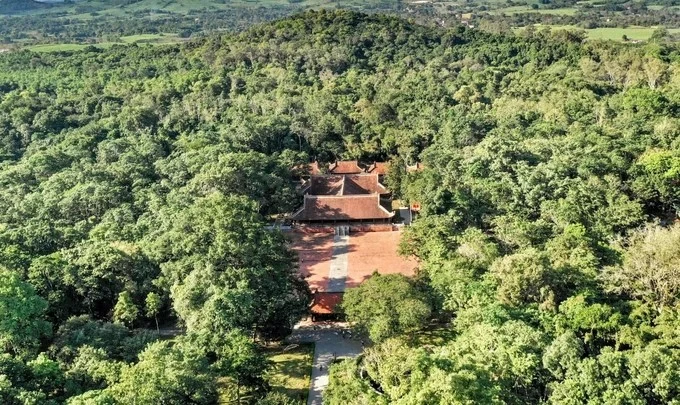 Cố đô Lam Kinh oai linh trường tồn dưới bóng lim xanh bảo mộc cung đình Cố đô Lam Kinh oai linh trường tồn dưới bóng lim xanh bảo mộc cung đình