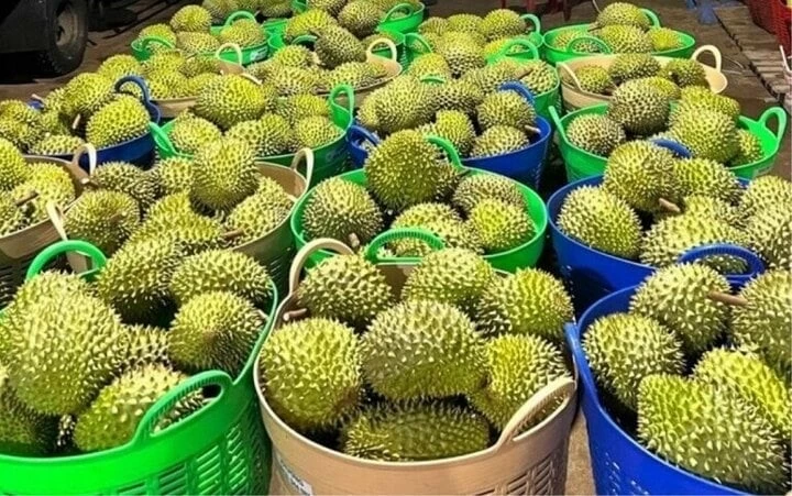 China's door opened wide for Vietnamese agricultural product exports China's door opened wide for Vietnamese agricultural product exports