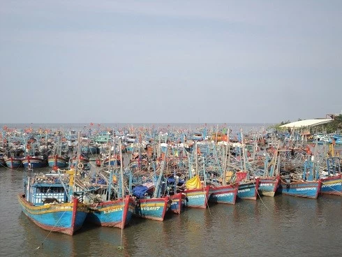 Vietnam ramps up efforts to curb IUU fishing for yellow card removal Vietnam ramps up efforts to curb IUU fishing for yellow card removal