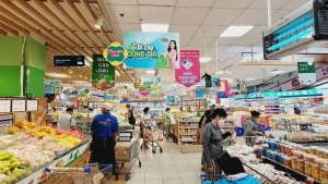 PM issues directive to stimulate domestic consumption, production, market development PM issues directive to stimulate domestic consumption, production, market development