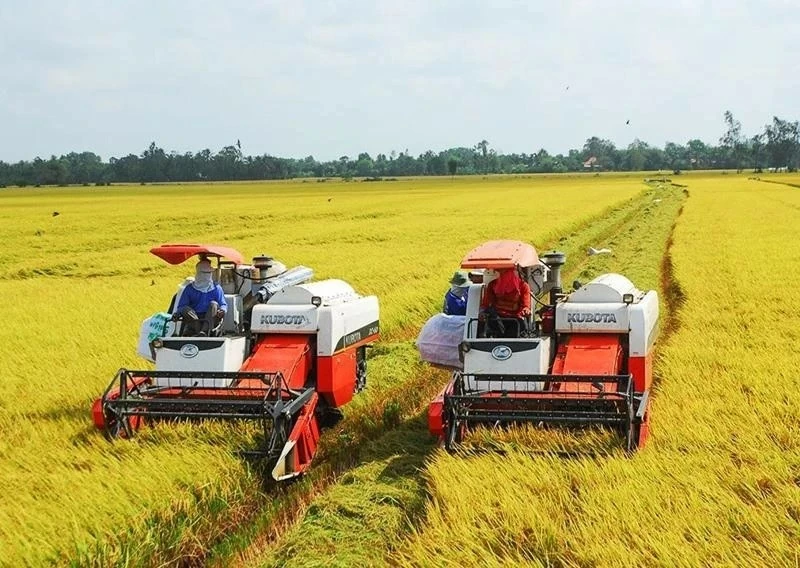 Million ha of high-quality, low-emission rice with green growth in Mekong Denlta region by 2030: MARD Million ha of high-quality, low-emission rice with green growth in Mekong Denlta region by 2030: MARD