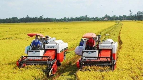 A million ha of high-quality, low-emission rice with green growth in Mekong Delta region by 2030: MARD