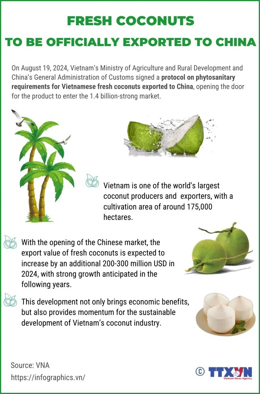 Fresh coconuts to be officially exported to China Fresh coconuts to be officially exported to China