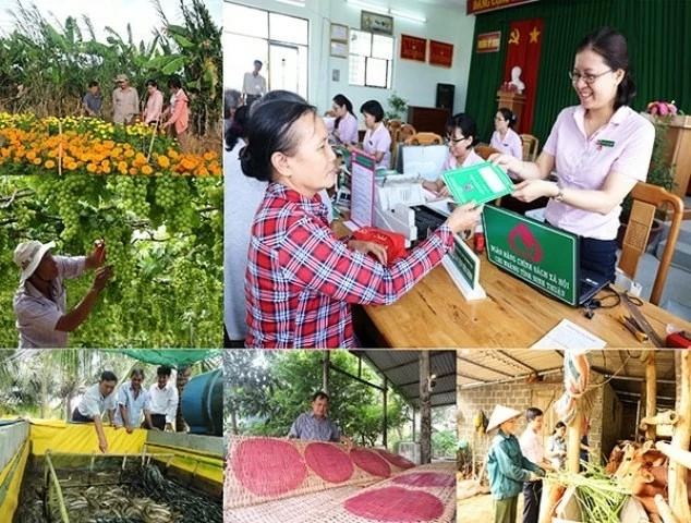 Nearly 6.8 million households overcome poverty Nearly 6.8 million households overcome poverty