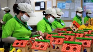 Labour market of  Southern Key Economic Zones continues improving