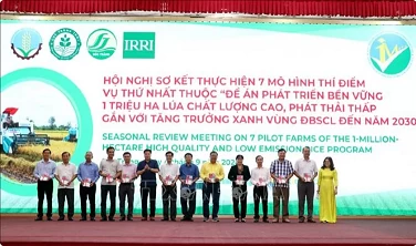 Mekong Delta farmers reap rewards from sustainable rice farming Mekong Delta farmers reap rewards from sustainable rice farming