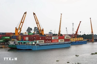 Dong Nai’s trade surplus reaches 4.2 billion USD in eight months Dong Nai’s trade surplus reaches 4.2 billion USD in eight months