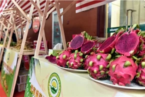 Vietnam to hold first fruit festival in Beijing Vietnam to hold first fruit festival in Beijing