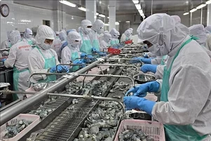 Vietnam’s aquatic product exports reel in positive forecasts to year end Vietnam’s aquatic product exports reel in positive forecasts to year end