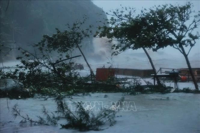 Deputy PM urges prompt response to super typhoon Yagi Deputy Prime Minister urges prompt response to super typhoon Yagi