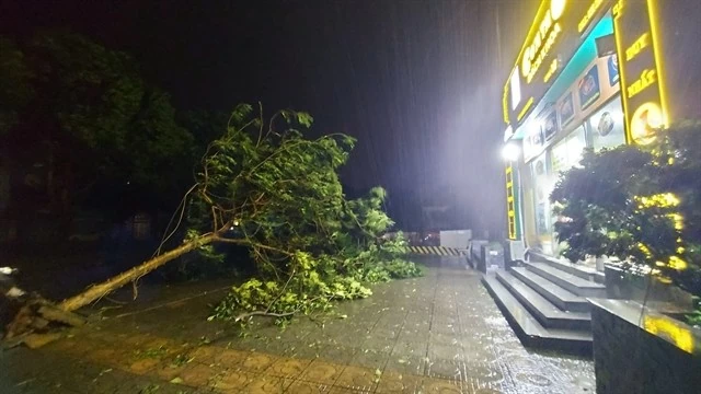 Typhoon Yagi devastates Hanoi Typhoon Yagi leaves Hanoi devastated