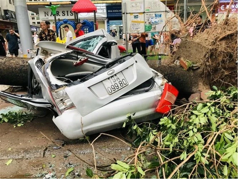 A car crushed by fallen tree in front of HH Building, Linh Dam urban area, Hanoi. (Photo: VNA) A car crushed by fallen tree in front of HH Building, Linh Dam urban area, Hanoi. (Photo: VNA)