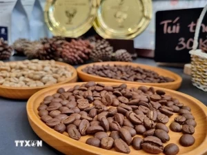 Roasted coffee beans. (Source: VNA)