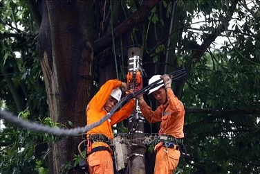 Electricity supply resumed to over 4.8 million customers affected by typhoon Electricity supply resumed to over 4.8 million customers affected by typhoon
