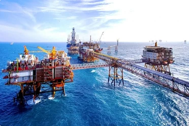 Petrovietnam named most profitable firm in 2024 Petrovietnam named most profitable firm in 2024