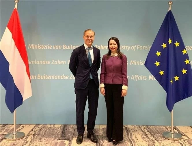 Netherlands extended deep sympathy to Vietnam over great losses caused by Typhoon Yagi Netherlands extended deep sympathy to Vietnam over great losses caused by Typhoon Yagi