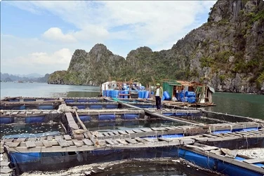 Focal tasks, solutions specified to aid post-typhoon recovery, economic growth Focal tasks, solutions specified to aid post-typhoon recovery, economic growth