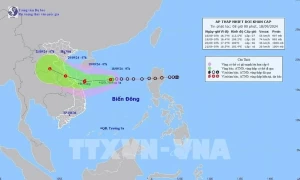 Tropical depression expected to strengthen into typhoon within 24 hours Tropical depression expected to strengthen into typhoon within 24 hours