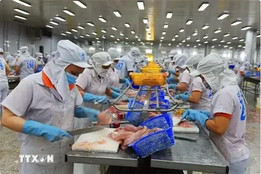 US Commerce Department announces preliminary anti-dumping review results for Vietnamese catfish exports US Commerce Department announces preliminary anti-dumping review results for Vietnamese catfish exports