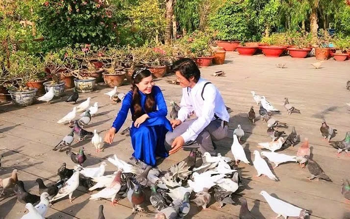 Quấn quýt như đôi chim câu. Quấn quýt như đôi chim câu.