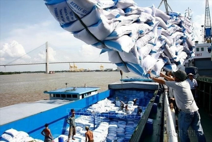 Diễn biến giá gạo trước ảnh hưởng của mưa bão. (Nguồn: TTXVN)