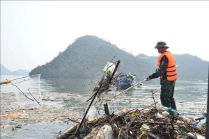 Quang Ninh works hard on post-typhoon waste collection in Ha Long Bay Quang Ninh works hard on post-typhoon waste collection in Ha Long Bay