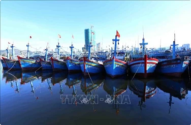 Binh Dinh provides financial support for VMS installation to combat IUU fishing Binh Dinh provides financial support for VMS installation to combat IUU fishing