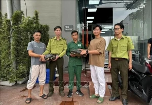 Cuc Phuong National Park receives rare, endangered animals Cuc Phuong National Park receives rare, endangered animals