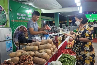Fruit, farm produce week kicks off in Hanoi Fruit, farm produce week kicks off in Hanoi