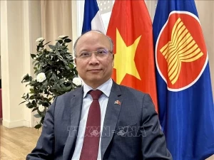Vietnam reaffirms highest commitment to Francophone community’s development: ambassador Vietnam reaffirms highest commitment to Francophone community’s development: ambassador