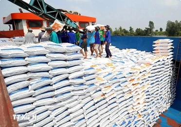 Indian expert suggests ways for Vietnam to boost rice exports Indian expert suggests ways for Vietnam to boost rice exports
