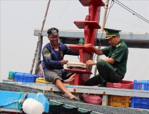 Phu Yen ramps up efforts to combat IUU fishing Phu Yen ramps up efforts to combat IUU fishing
